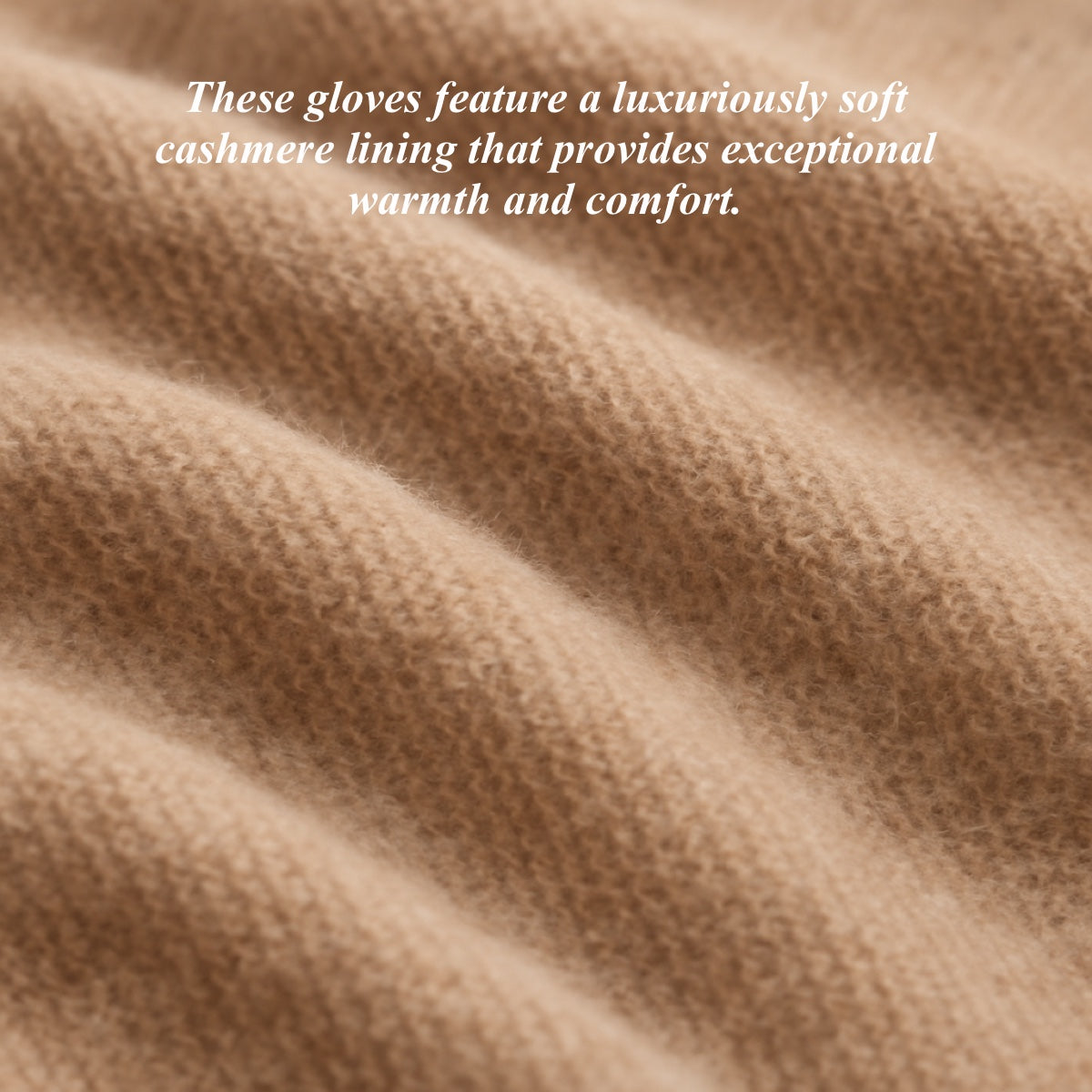 Leonora (black) - Italian cashmere lined 6-button length leather gloves
