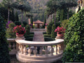Online Travel Consultation