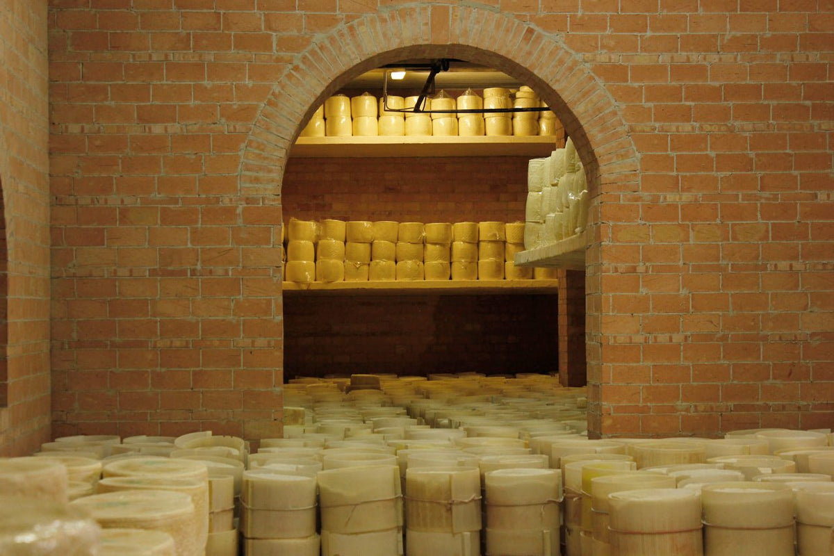 Fresh Grated Genuine Fulvi® Pecorino Romano DOP