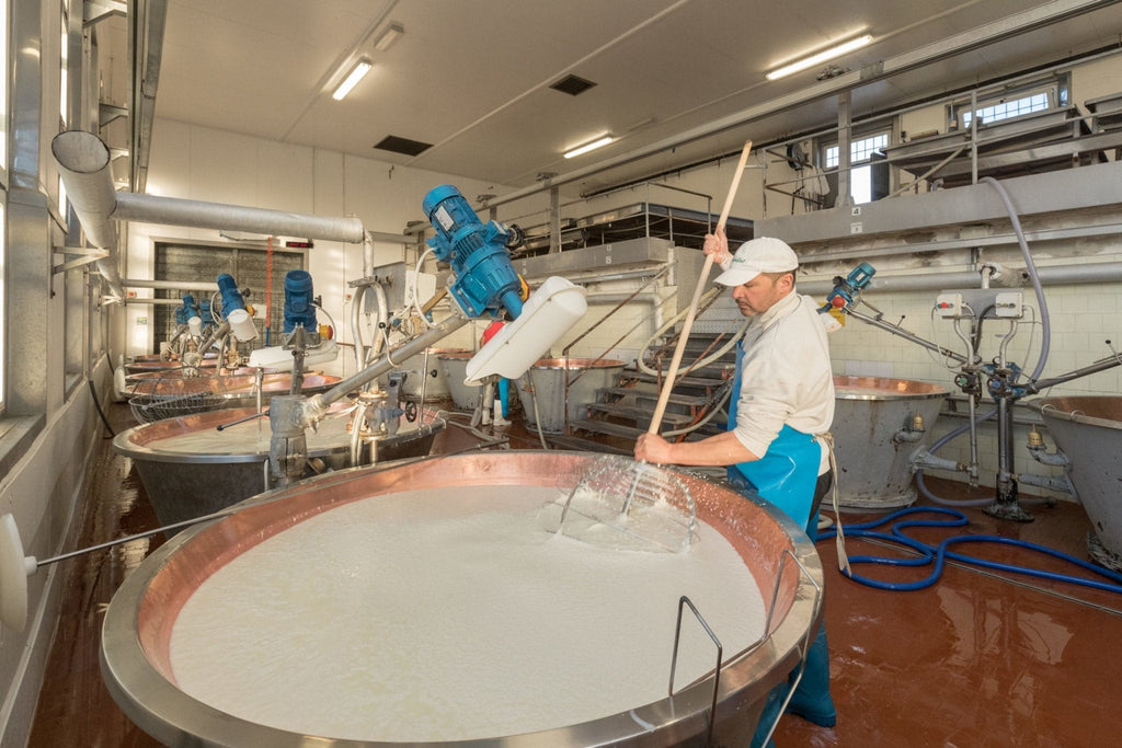 Parmigiano Reggiano DOP Mitica® 36 months